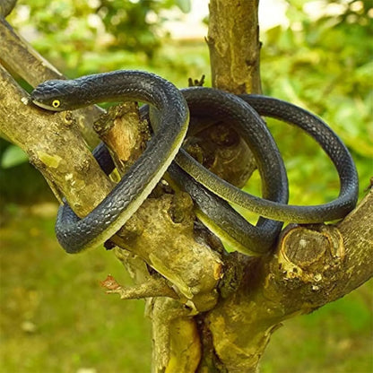 43.3-Inch (110 cm) Realistic Rubber Snake Prank Toy with 16.4 ft (500 cm) String & Metal Clip