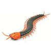 Infrared RC Cobra and Insect Toy – Remote Control Cockroach and Caterpillar Prank for Kids