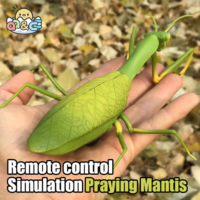 Infrared RC Antistress Insect Toys – Simulation Spider, Bee, Fly, and Mantis for Kids