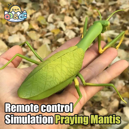 Infrared RC Antistress Insect Toys – Simulation Spider, Bee, Fly, and Mantis for Kids