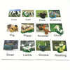 Montessori Animal Matching Cards - Language Learning Cognitive Toy for Kids, Insect Farm Zoo, Preschool Educational Toy for 1-2 Years Old Toddlers