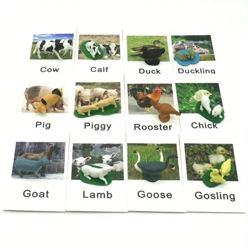 Montessori Animal Matching Cards - Language Learning Cognitive Toy for Kids, Insect Farm Zoo, Preschool Educational Toy for 1-2 Years Old Toddlers