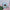 Electronic Virtual Pet Toy – Nostalgic Tamagotchi Cyber Digital Animal for Kids