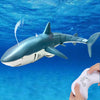 RC Shark and Whale Toy – Electric Remote Control Dolphin Submarine for Pool and Bath