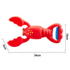 Animal Sand Grabber Lobster Claw — Beach, Pool & Bathtub Toy For Kids