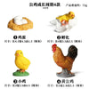 Animal & Plant Life Cycle Board Montessori Teaching Set - Preschool Science Model Kit for Kids