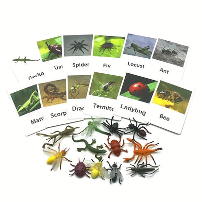 Montessori Animal Matching Cards - Language Learning Cognitive Toy for Kids, Insect Farm Zoo, Educational Preschool Toy for 1-2 Years Old Toddlers