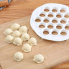 Dumpling Mold Dough Press Ravioli Maker Plastic Pastry Tool