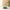 Eternal Flower Wooden Building Blocks – Assembled Toy and Desktop Decoration for Children, Festival Gift