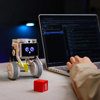 Rider-Pi AI Visual Robot, Two-Wheel Smart Car Toy with IMU Module, Python Programming, ChatGPT Voice Interaction