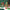 Christmas Micro Building Blocks – Santa Claus & Reindeer Puzzle, Assembling Bricks Table Decoration Toy for Kids