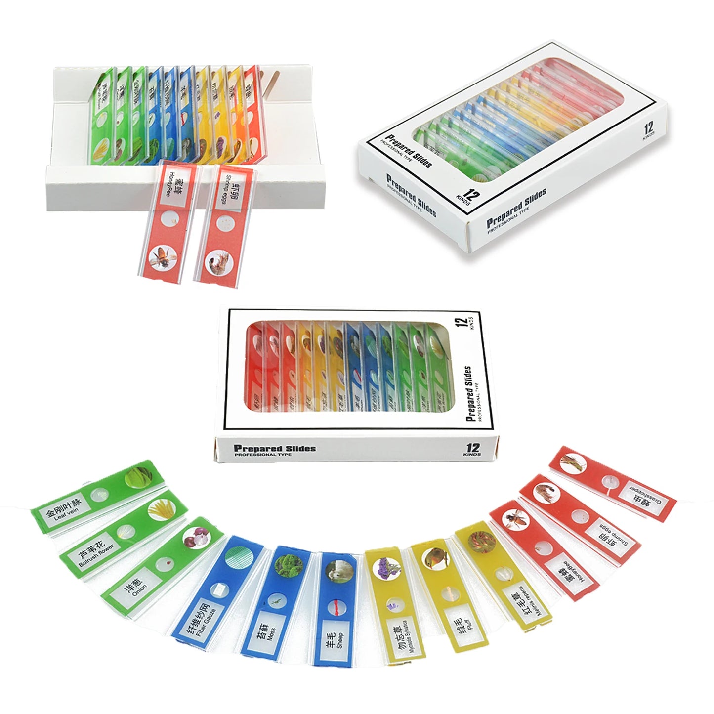 Pocket Microscope for Kids - Handheld Mini STEM Science Toy with LED Light and Specimen, Gift for Little Scientists