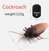 Infrared RC Spider and Ant Toy – Remote Control Cockroach Trick for Kids, Novelty Gift