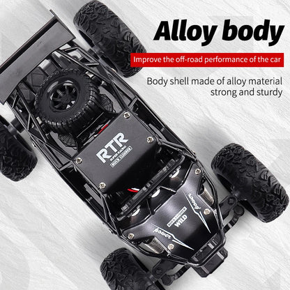 ZWN 1:16/1:20 RC Car with LED Light and 2WD Off-Road Climbing Remote Control
