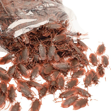 Realistic Plastic Cockroach Prank Toys — 10/20-Pack Fake Roaches, 7×2 cm (2.8×0.8 in) Scary Halloween & Gag Gift