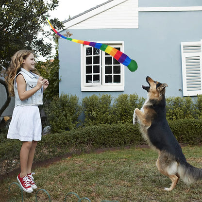 Rainbow Tail Ball – Soft Fabric Meteor Sandbag Ball, Safe Catch Toy for Sensory Training in Kindergarten & School