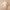 Baby Cartoon Baseball Jumpsuit – Long Sleeve Spring/Autumn Clothes (Trendy & Handsome Baby Outfit)