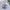 Transparent Electronic Pet Toy, 168 Pets in One Virtual Cyber Digital Toy, Nostalgic Pixel Play for Kids