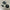 BX Bey X SB Spinning Tops BX-31 to BX-35