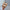 Kids’ Sandals for Girls – Summer Weave Design, Open-Toe Beach Shoes, Flat Anti-Skid Rubber Ankle Strap Sandals for Children
