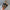 Toddler Girls’ Sandals – 2024 New Fashion Princess Beach Shoes, Cross-Tied Weave Style, Soft Cute Summer Sandals for Kids