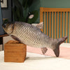 Funny Fish Plush Toy 30–100cm (11.8–39.4 Inches)