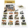 Montessori Animal Matching Cards - Language Learning Cognitive Toy for Kids, Insect Farm Zoo, Educational Preschool Toy for 1-2 Years Old Toddlers
