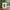 Cute Avocado Porcelain Coffee Mug - Cartoon Green Avocado Breakfast & Juice Cup, 11 oz (320 ml)