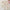 4-Piece Beige Baby Boy Outfit Set – Cartoon Deer Long-Sleeve Jacket, Hoodie, Hat & Pants, 0-9 Months, Lightweight Spring/Summer