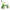 Toddler Balance Bike (Ages 10–36 Months) – No-Pedal Ride-On for Boys & Girls, EVA Wheels, Green