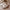 Women's Plaid Color-Block Plush-Fur Lined Winter Slippers - Cozy Non-Slip PVC Sole Indoor House Shoes (Grey/White)