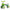 Toddler Balance Bike (Ages 10–36 Months) – No-Pedal Ride-On for Boys & Girls, EVA Wheels, Green