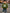 2-Piece Boys' Long-Sleeve Letter Sweatshirt & Ripped Jeans Set - Casual Fall/Winter Outdoor Outfit for Baby Boys 0-3 Years (0-36 Months)