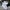 Iridescent Girls' Butterfly & Flower Sneakers — Breathable Mesh Upper, EVA Sole, Low-Top Kids Shoes