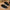 1 Pair Boys Canvas Low-Top Sports Shoes – Lightweight Breathable Casual Athletic Sneakers with Elastic Band Closure