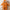 Thickened One-Piece Infant Outfit – Fleece-Lined Zipper Romper (Autumn/Winter, Newborn, Outdoor Wear, Perfect for Holidays)