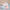 Iridescent Girls' Butterfly & Flower Sneakers — Breathable Mesh Upper, EVA Sole, Low-Top Kids Shoes