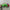 8-Inch Green Caterpillar Plush Toy – Soft Polyester Stuffed Animal with Colorful Segments & Expressive Eyes, Decorative Gift for Kids