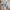 Baby Boys' 3-Piece Hooded Sports Leisure Outfit – 0-3 Years, Fall/Winter Outdoor Set
